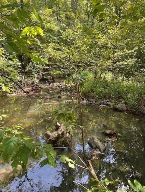 000 Ross Hollow