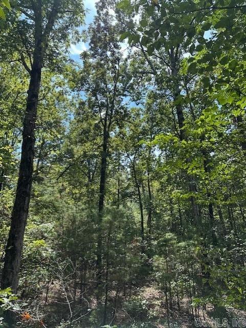 000 Ross Hollow