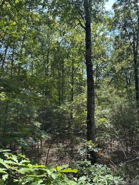 000 Ross Hollow
