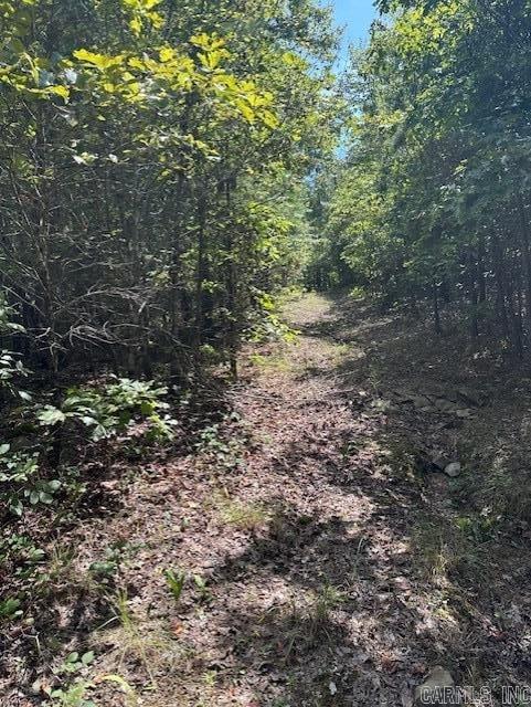 000 Ross Hollow