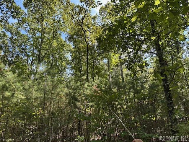 000 Ross Hollow