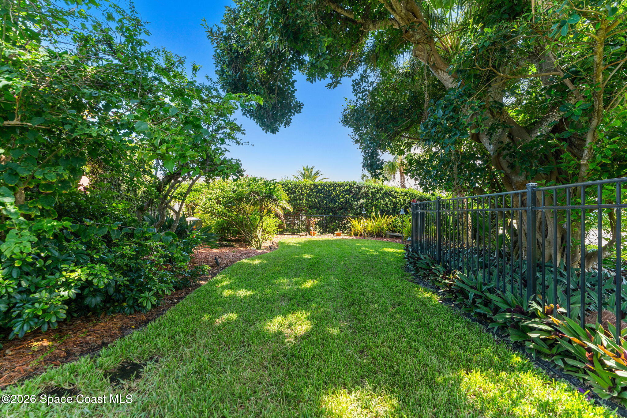 339 Cocoa Avenue