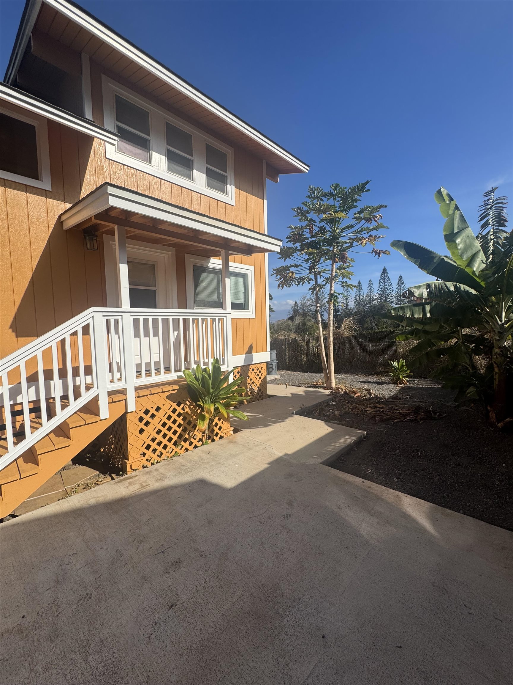31 Kuhinia Street St
