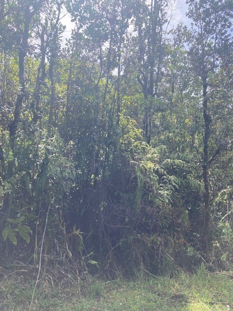 ROAD 7 (OPEAPEA)