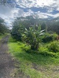 LEHUA RD