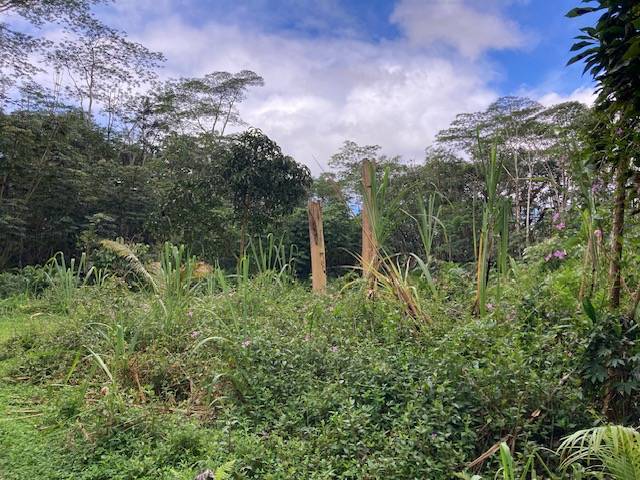 LEHUA RD