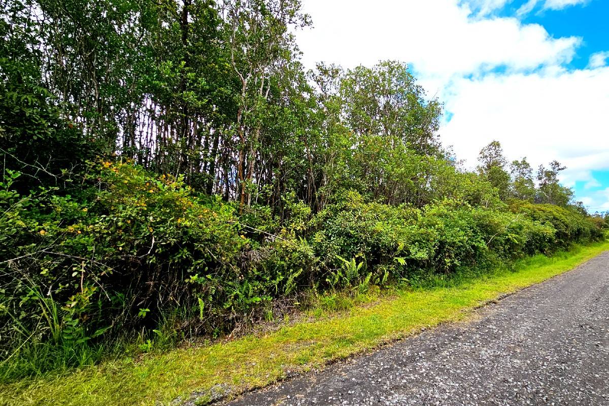 OHIALANI RD