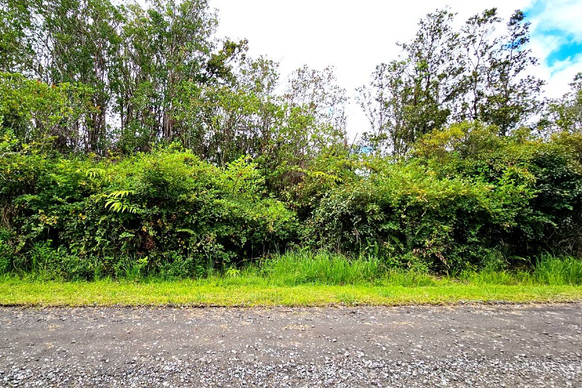 OHIALANI RD