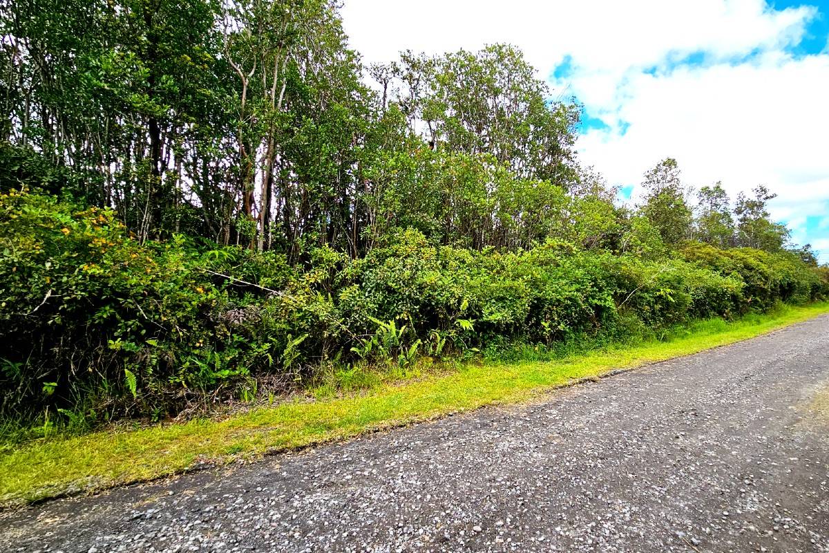 OHIALANI RD