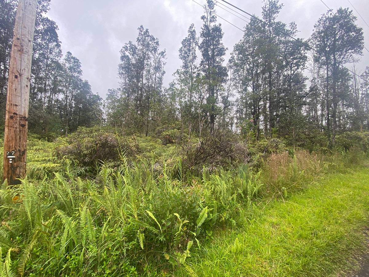 16-1636 UAU RD