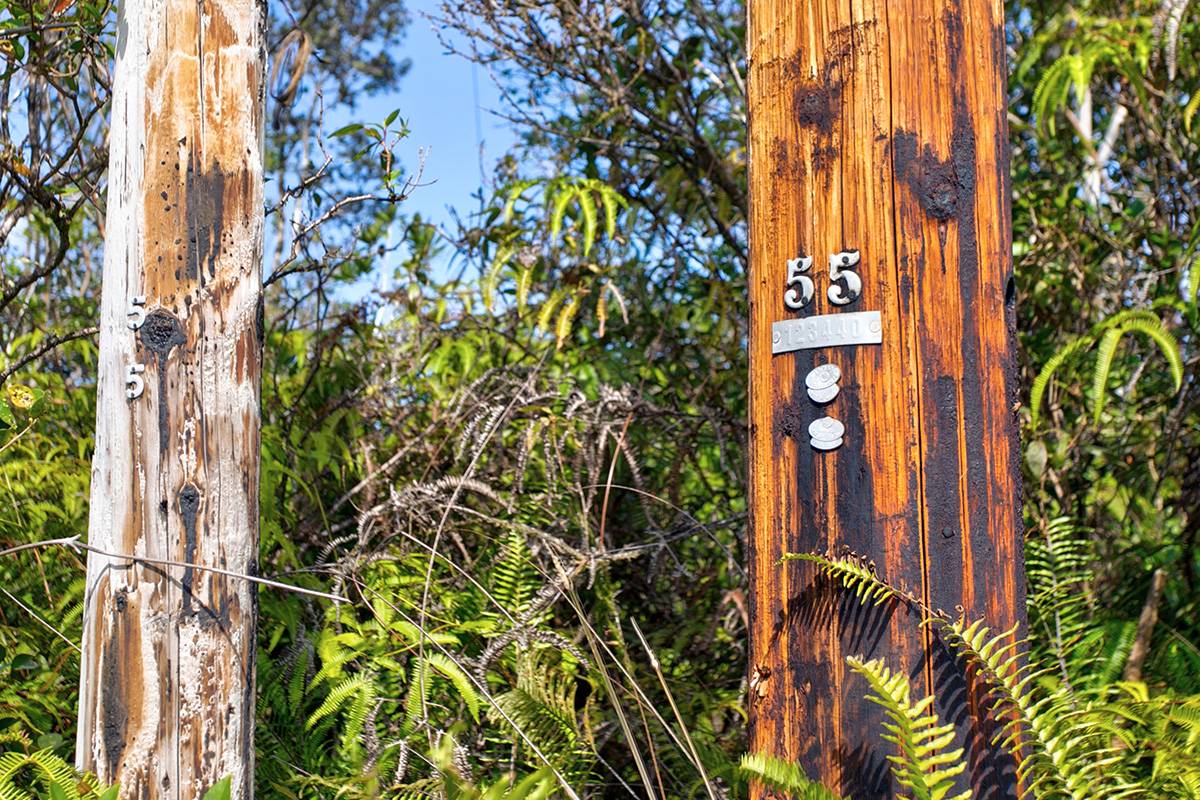 ROAD 9 (KOLOA MAOLI)