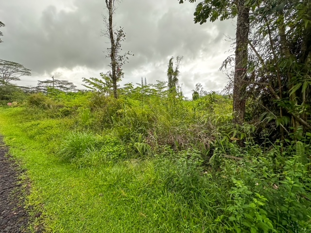14-3479 SHELL RD