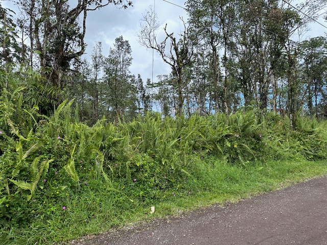 KAUAI RD