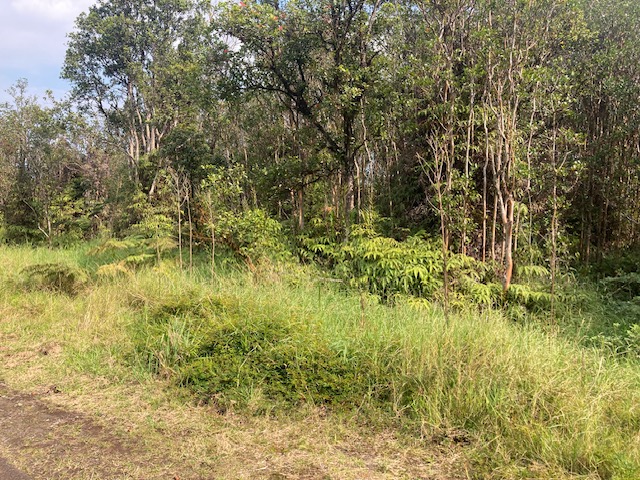 ROAD 5