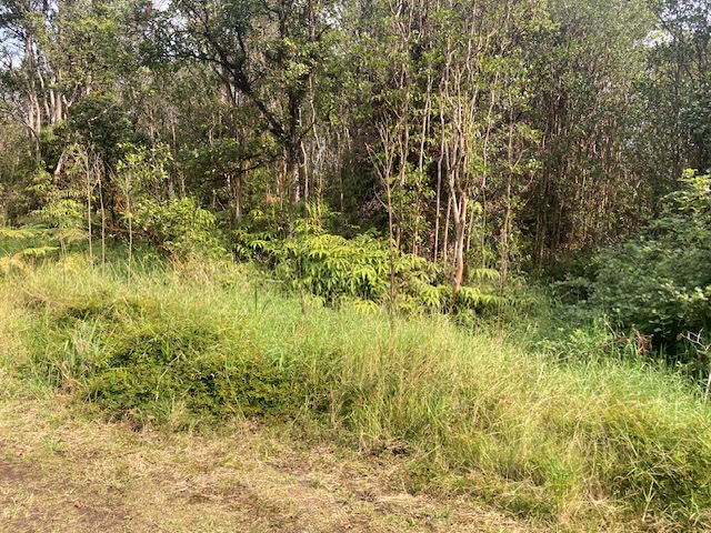 ROAD 5