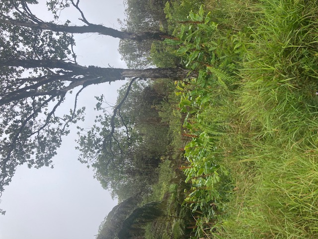 ROAD 6