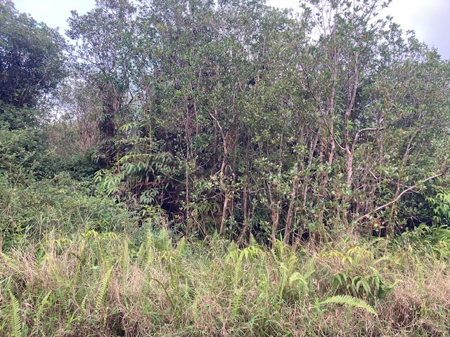 ROAD 6