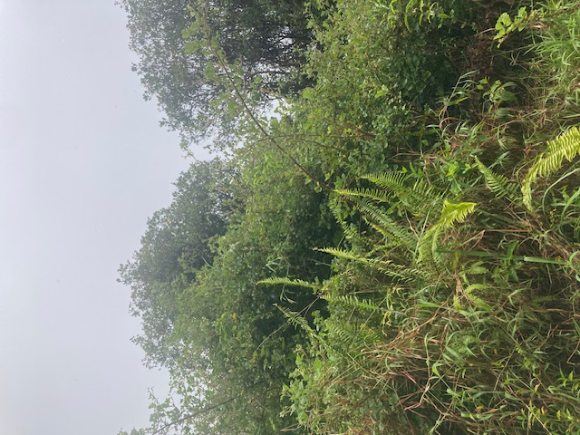 ROAD 6