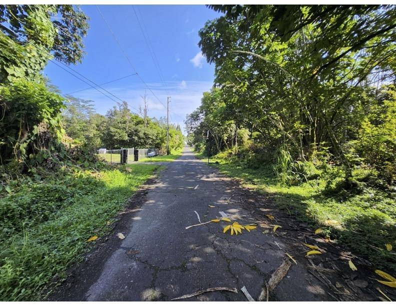 KAWAKAWA ST