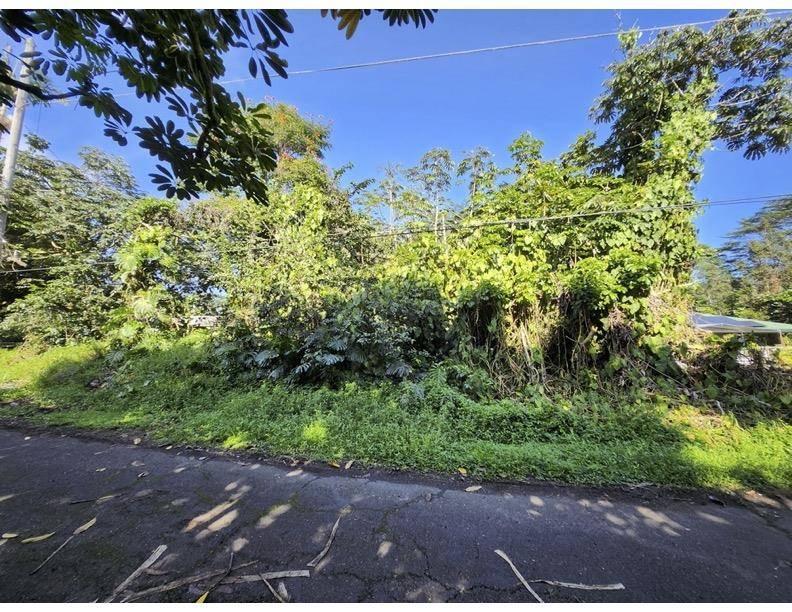 KAWAKAWA ST