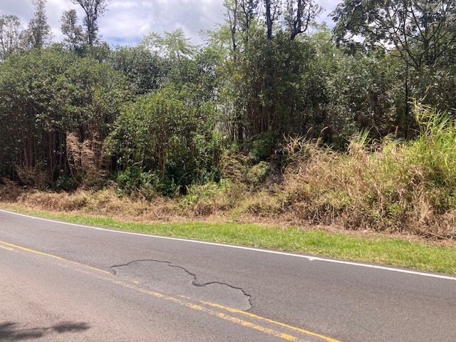 MOHO RD
