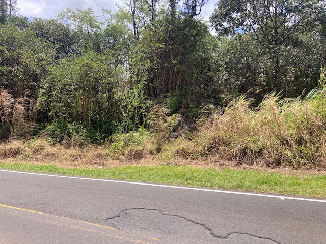 MOHO RD