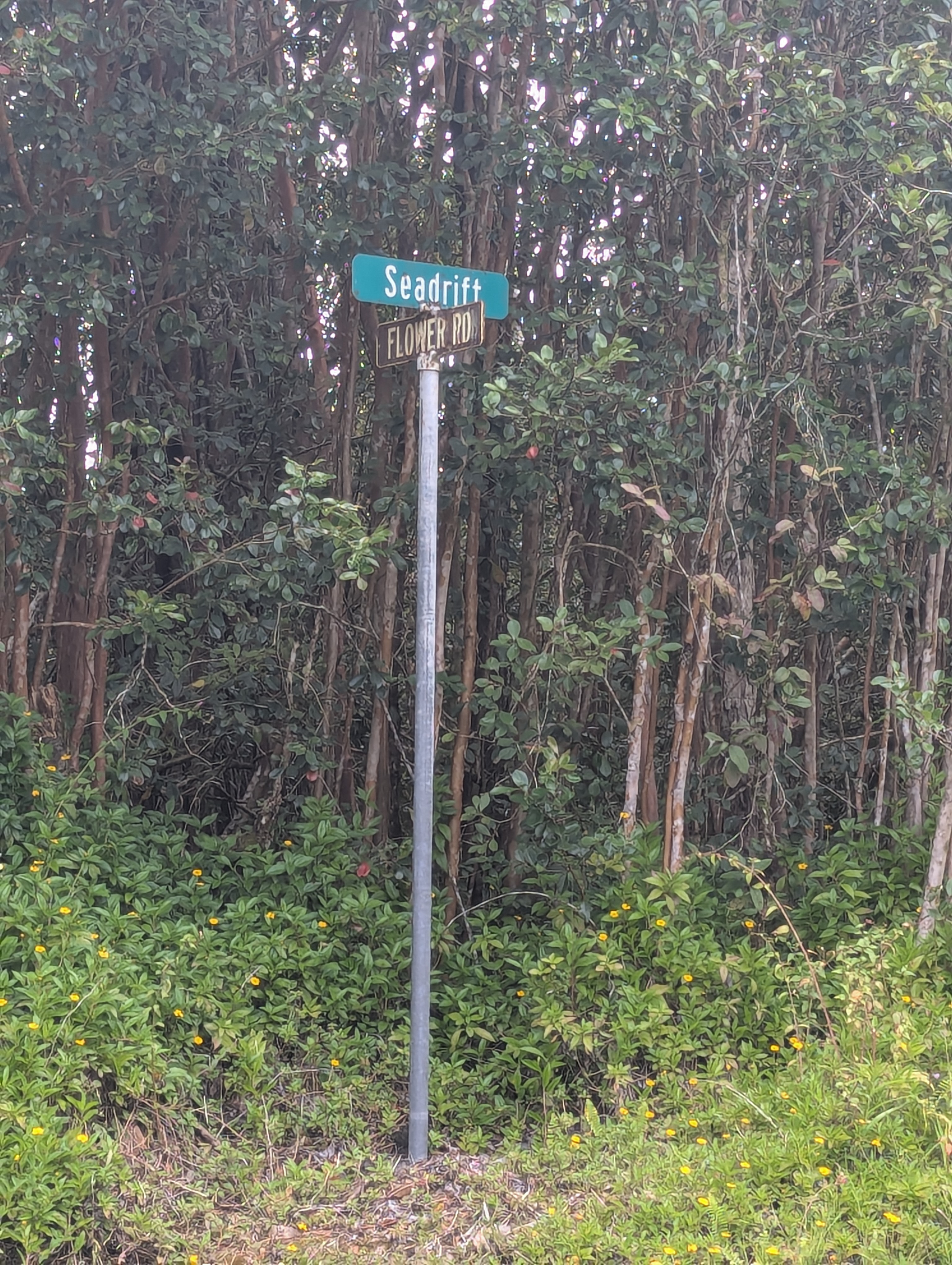 SEADRIFT RD