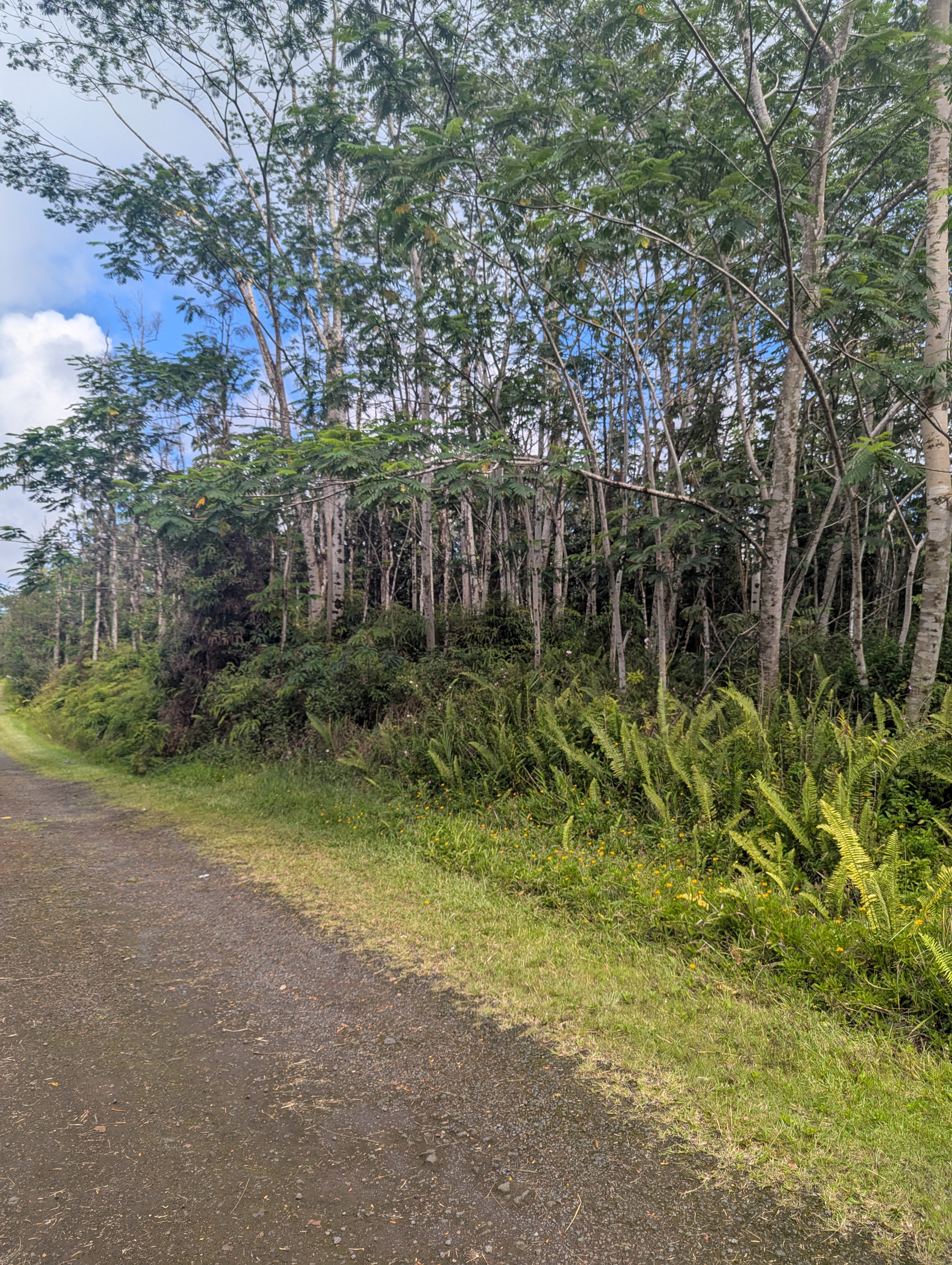 SEADRIFT RD