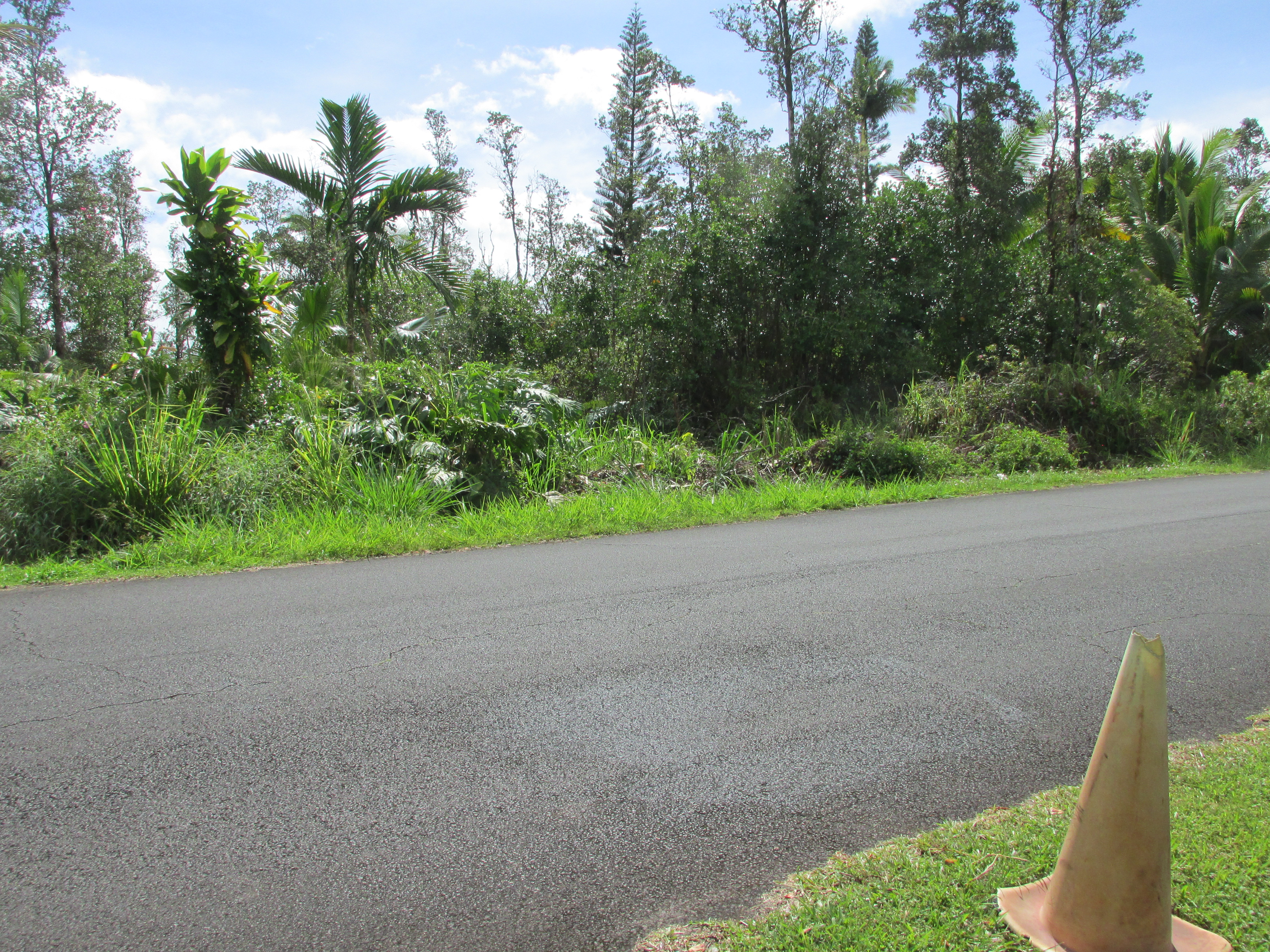 KING KAMEHAMEHA BLVD