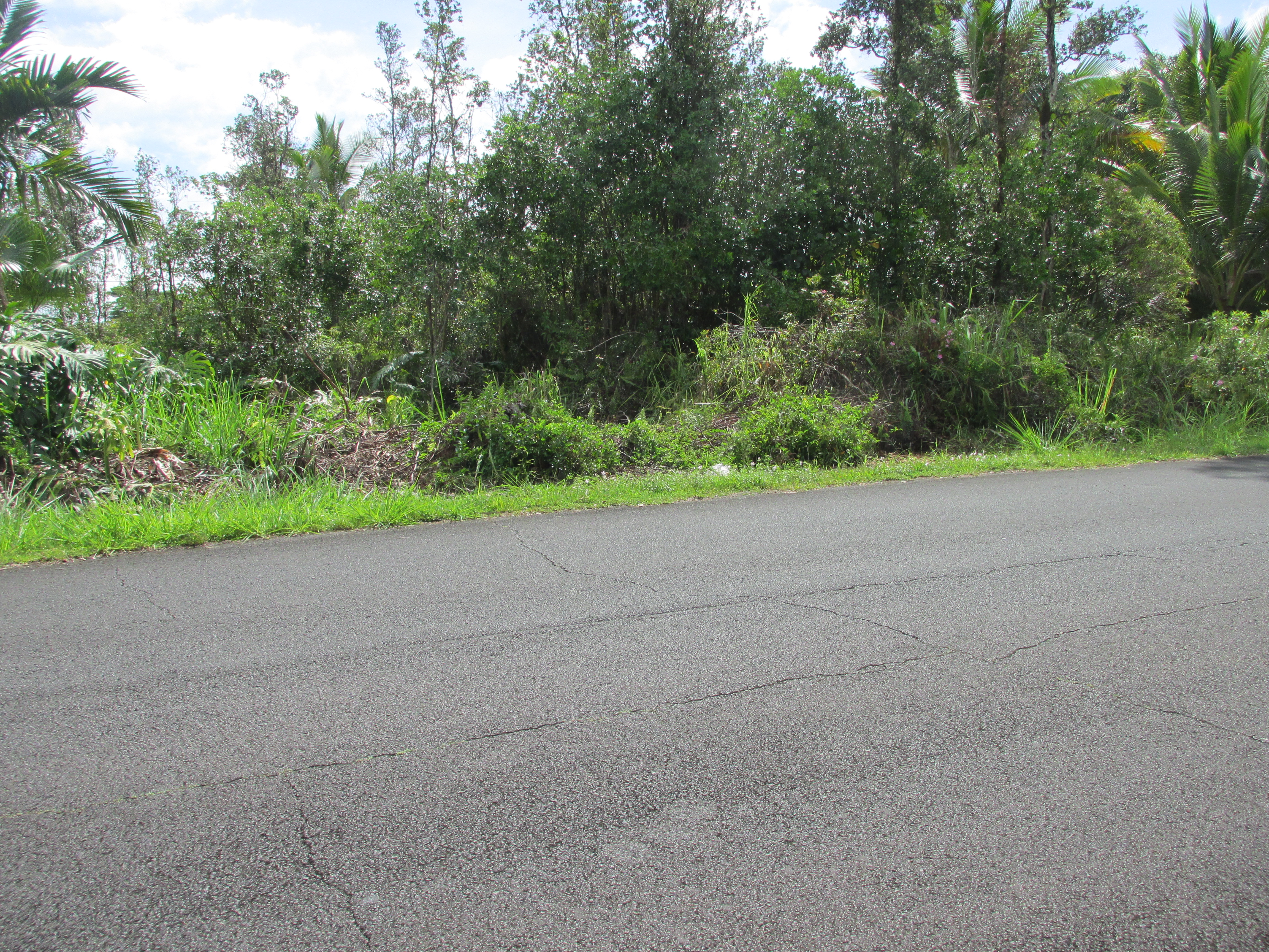 KING KAMEHAMEHA BLVD