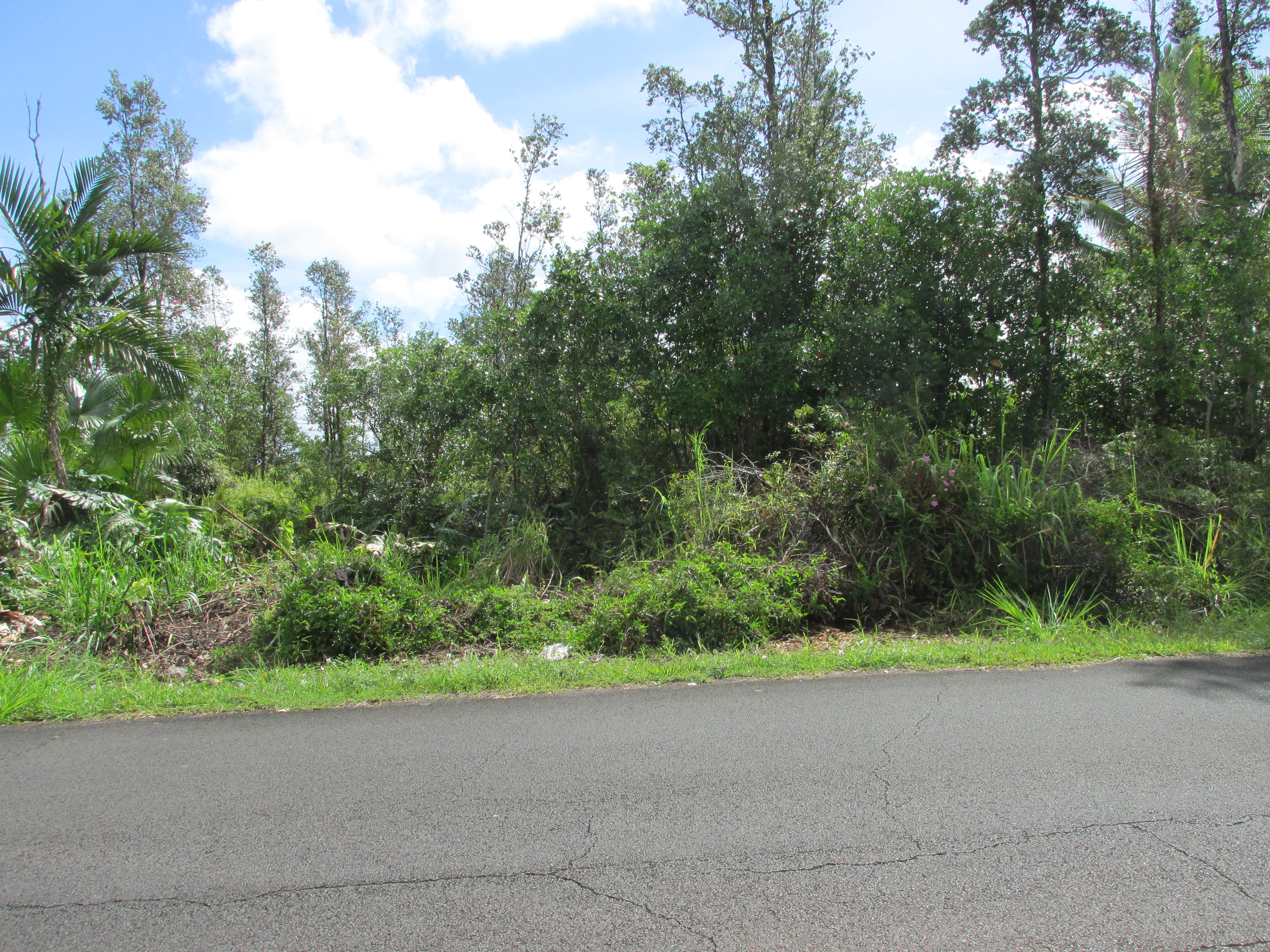 KING KAMEHAMEHA BLVD