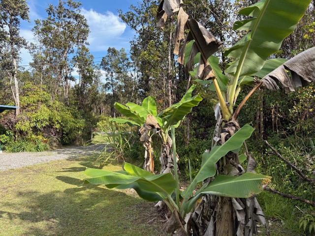 11-2084 KOKOKAHI RD