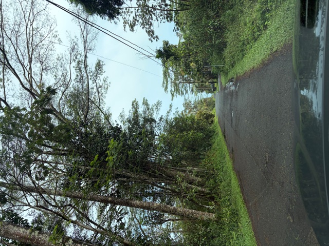 SEAVIEW RD