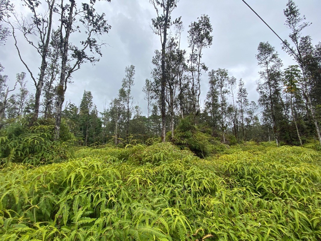 MOLOKAI RD