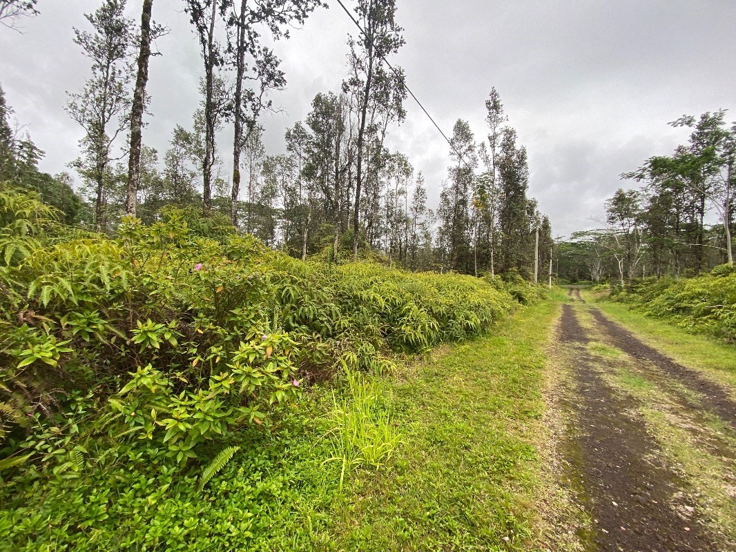 MOLOKAI RD