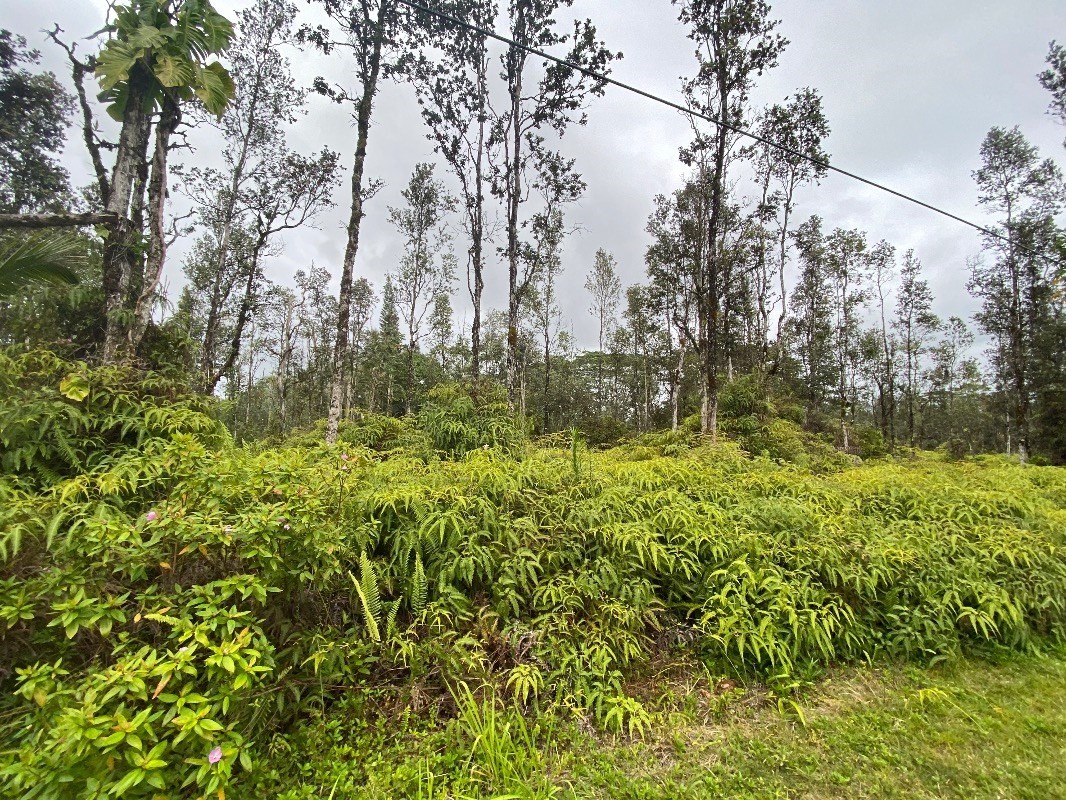 MOLOKAI RD