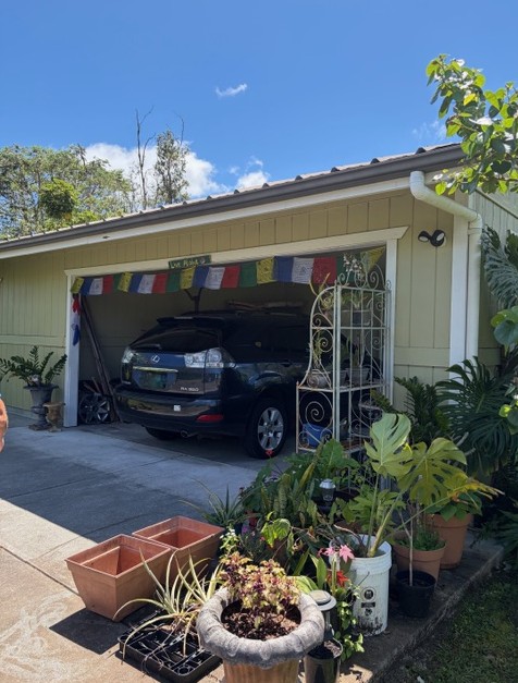 16-2099 SILVERSWORD DR