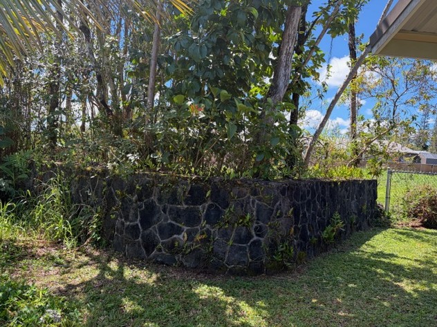 16-2099 SILVERSWORD DR