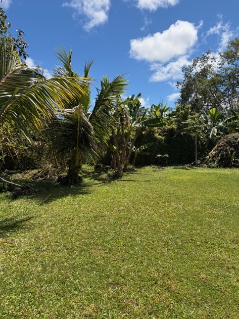 16-2099 SILVERSWORD DR