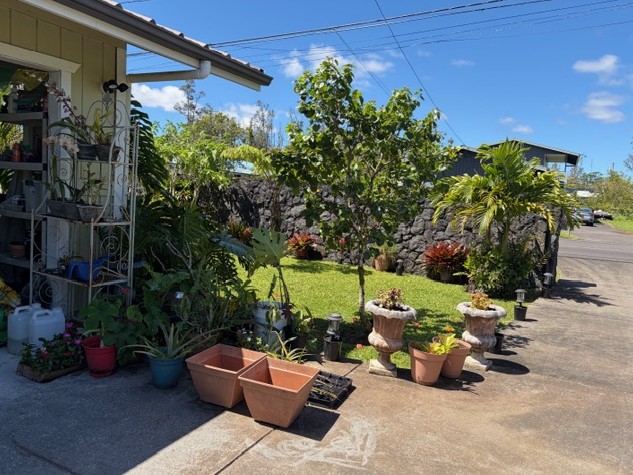 16-2099 SILVERSWORD DR