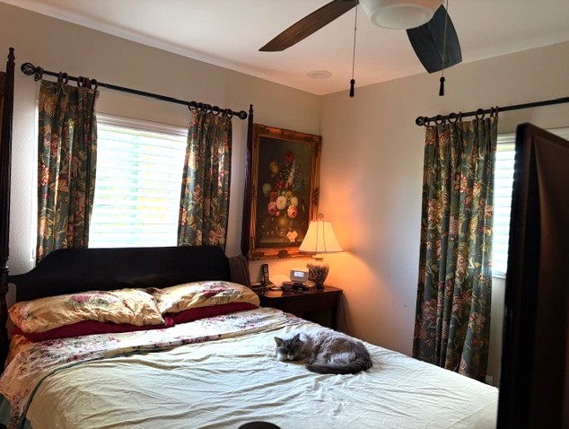 16-2099 SILVERSWORD DR