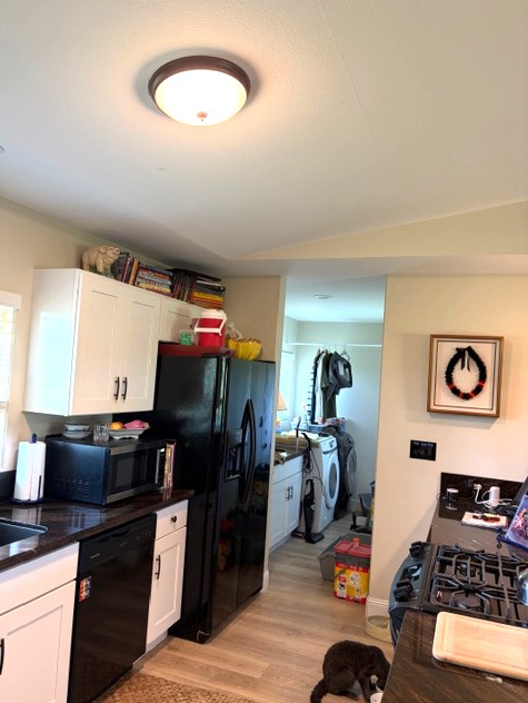 16-2099 SILVERSWORD DR