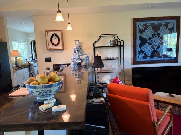 16-2099 SILVERSWORD DR