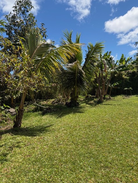 16-2099 SILVERSWORD DR