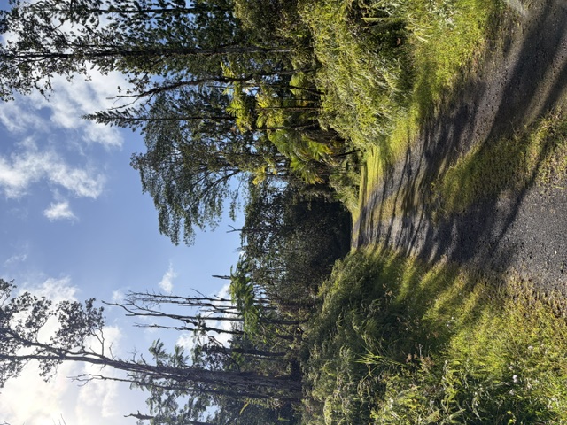 CHURCH RD