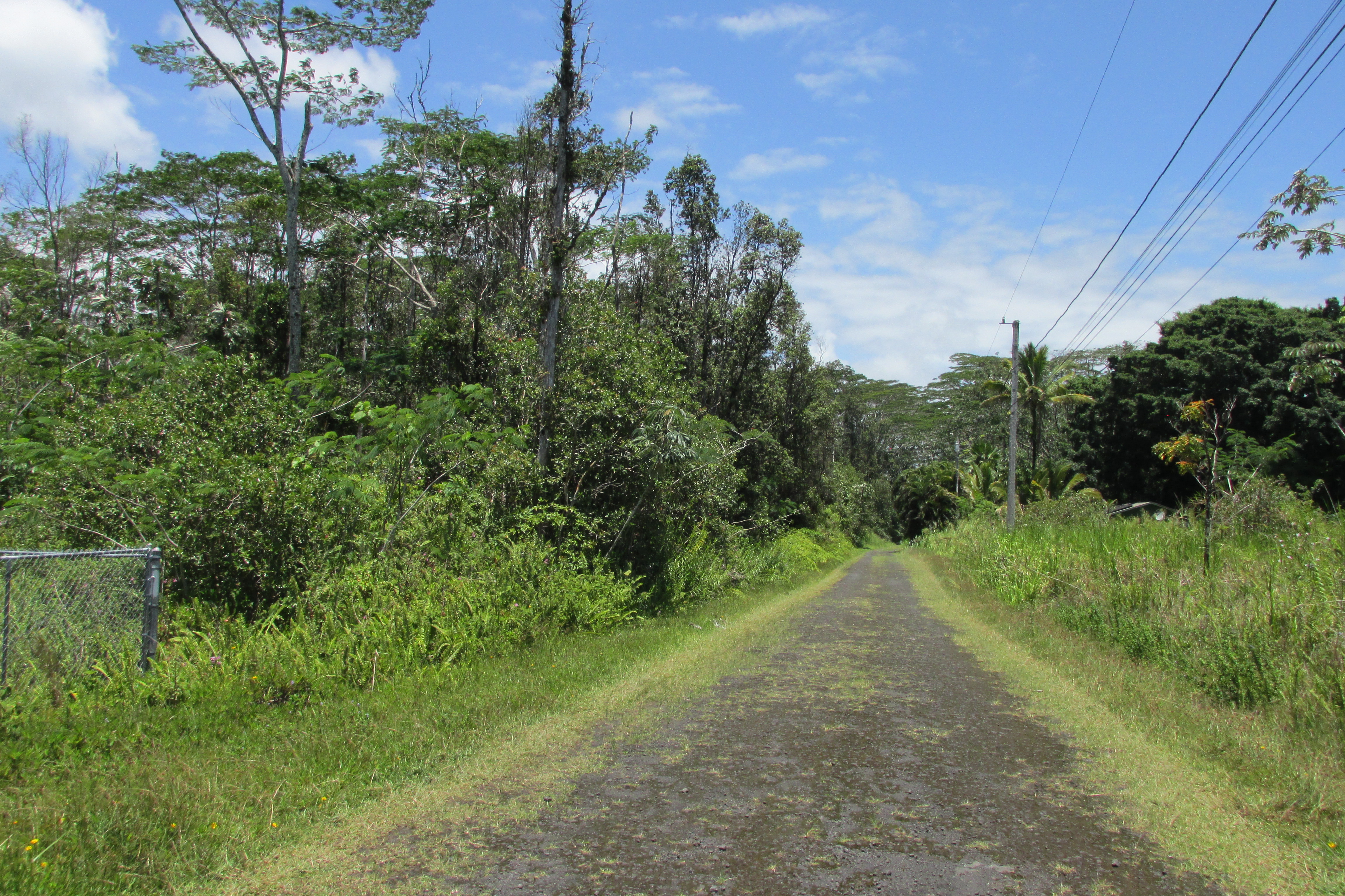 PLUMERIA RD