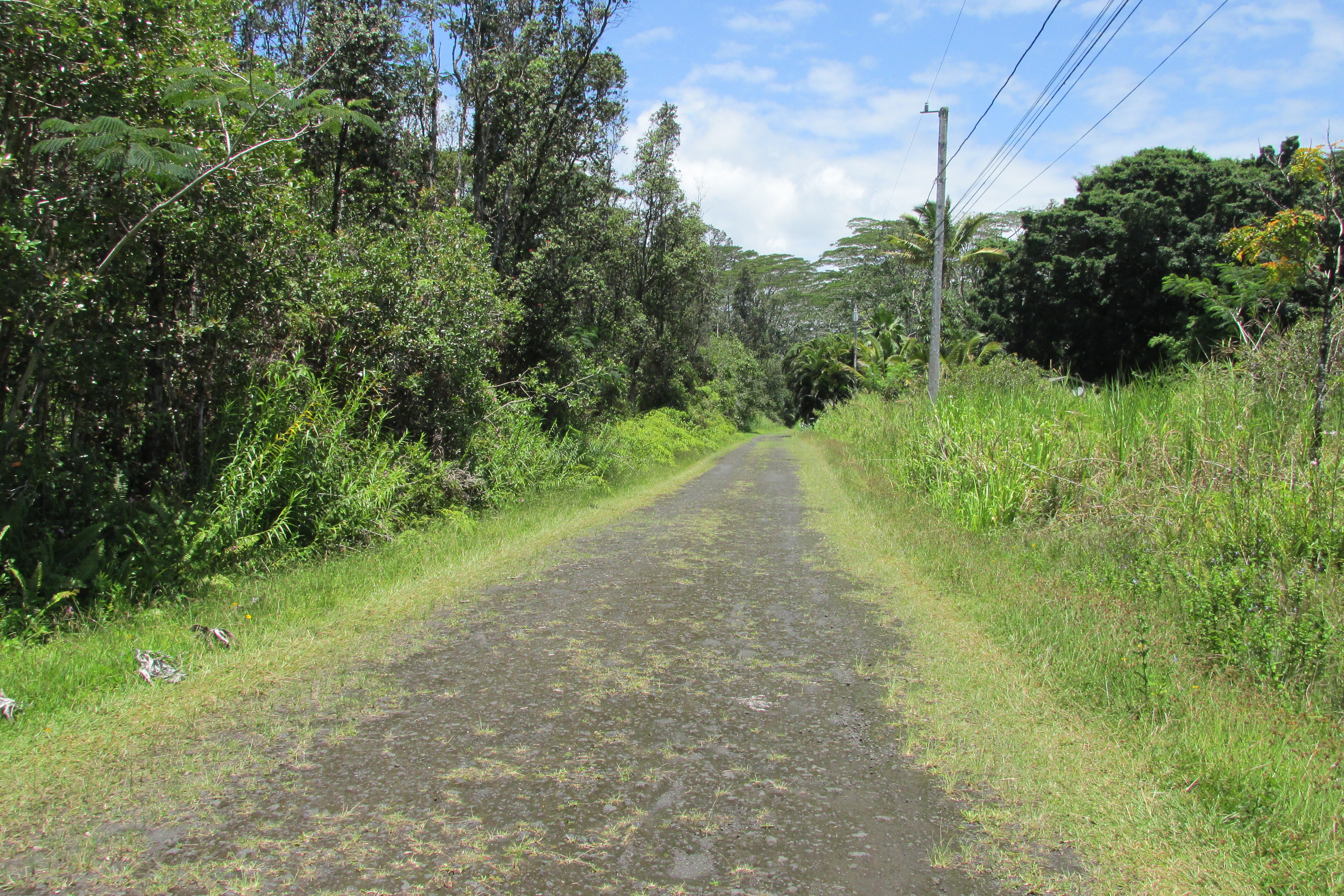PLUMERIA RD