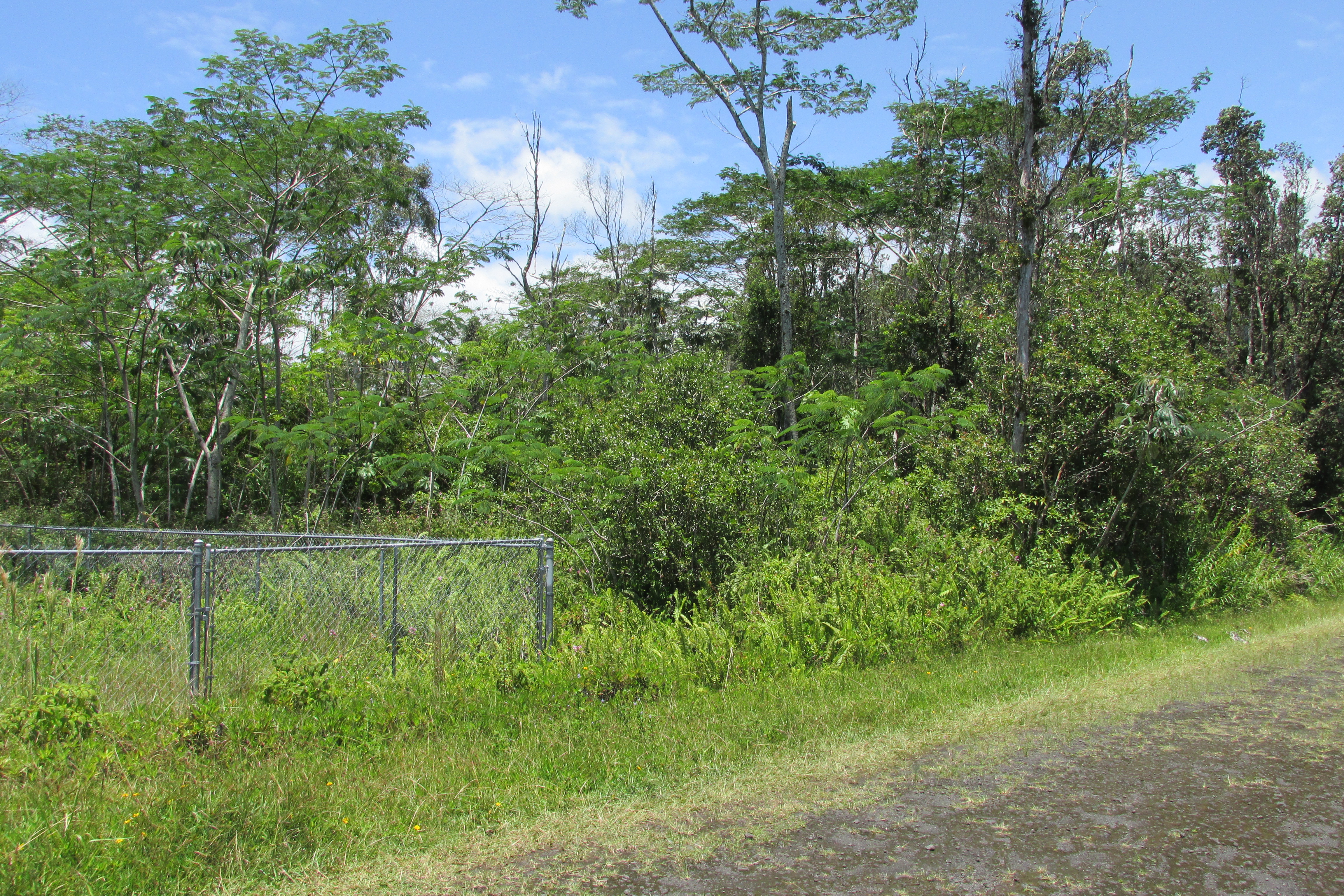 PLUMERIA RD