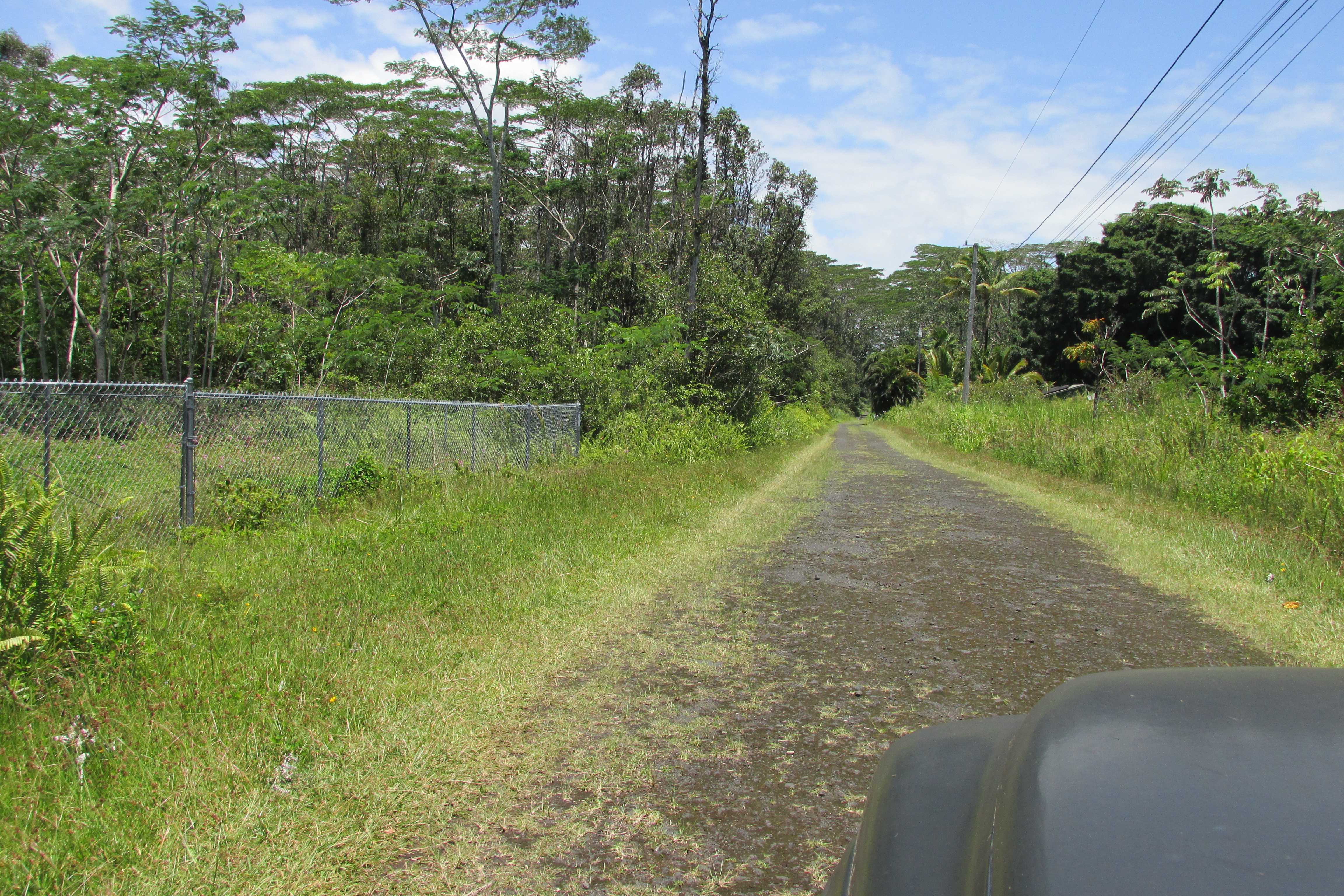 PLUMERIA RD