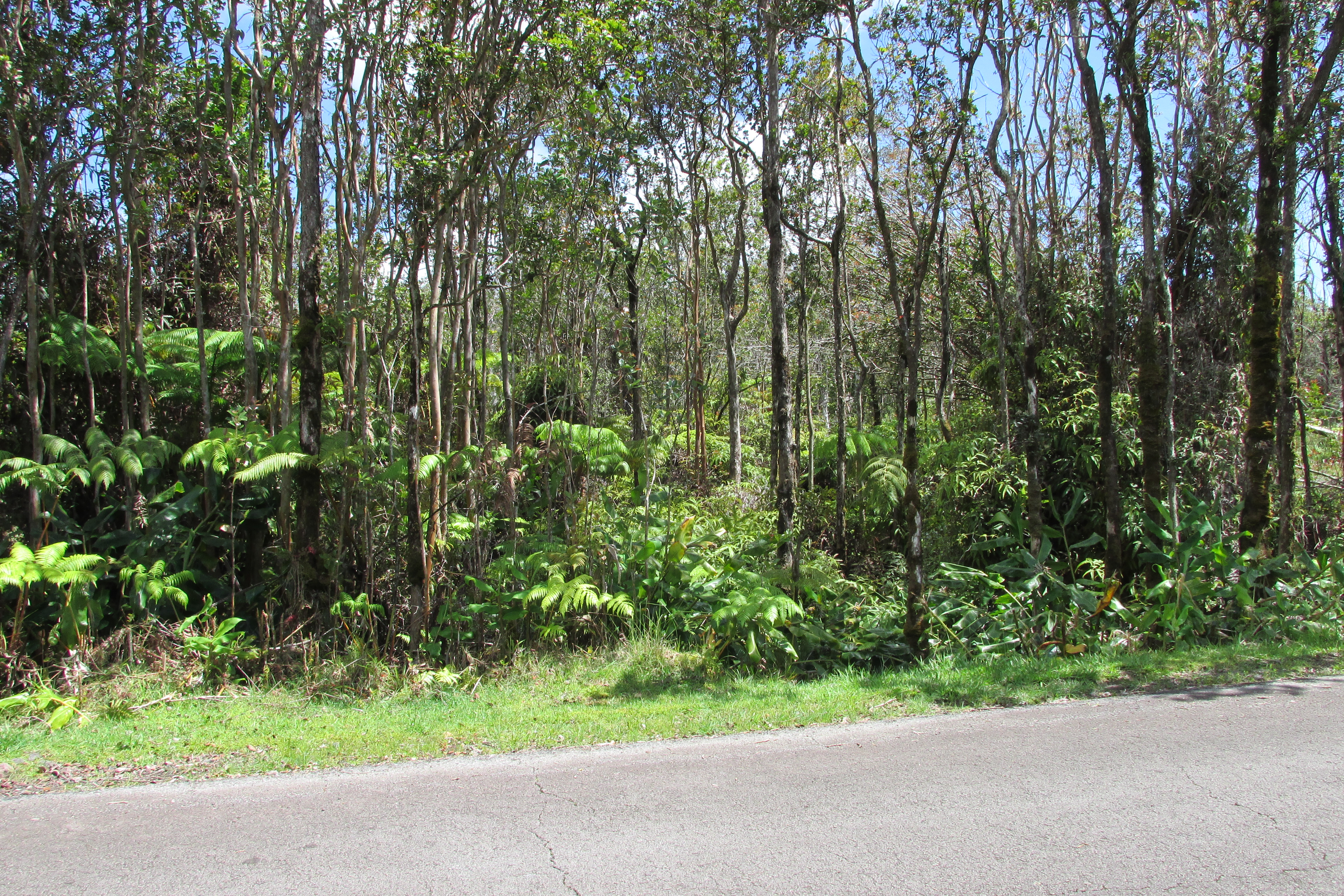 MOKUNA ST
